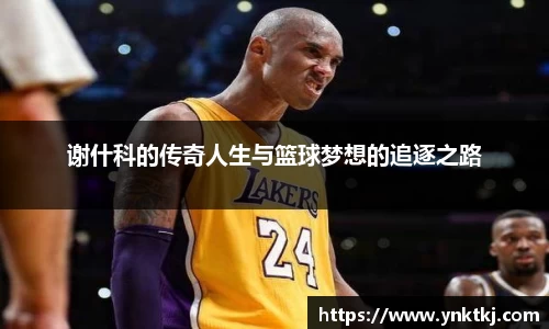 谢什科的传奇人生与篮球梦想的追逐之路